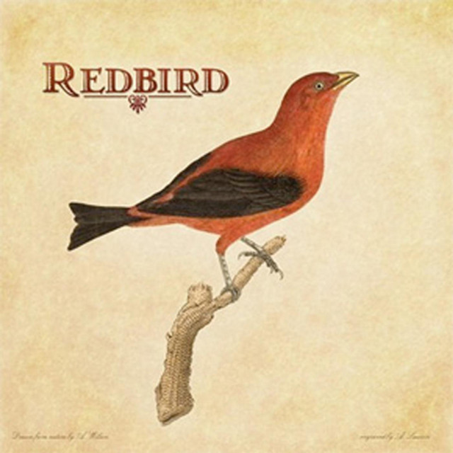Redbird cover art