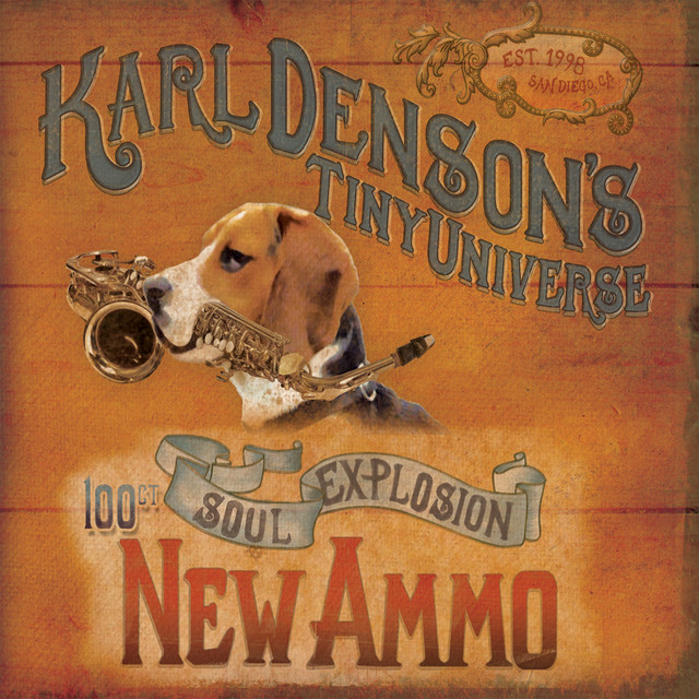 New Ammo cover art