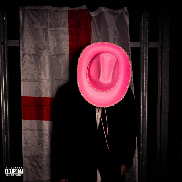 i have done many vile things cover art