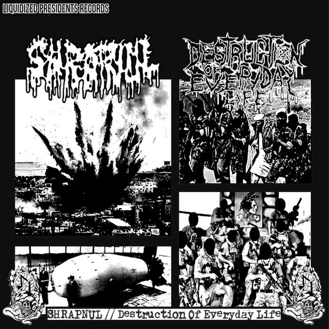 SHRAPNUL // Destruction of Everyday Life - Album by Liquidized ...