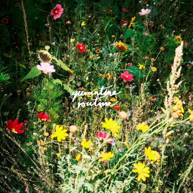 Quarantine Routine cover art