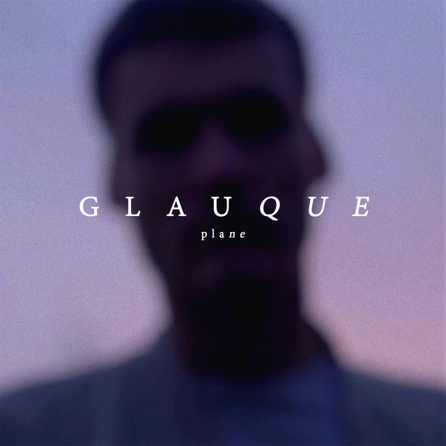 Plane cover art