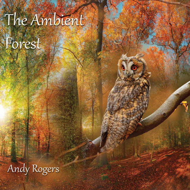 The Ambient Forest cover art
