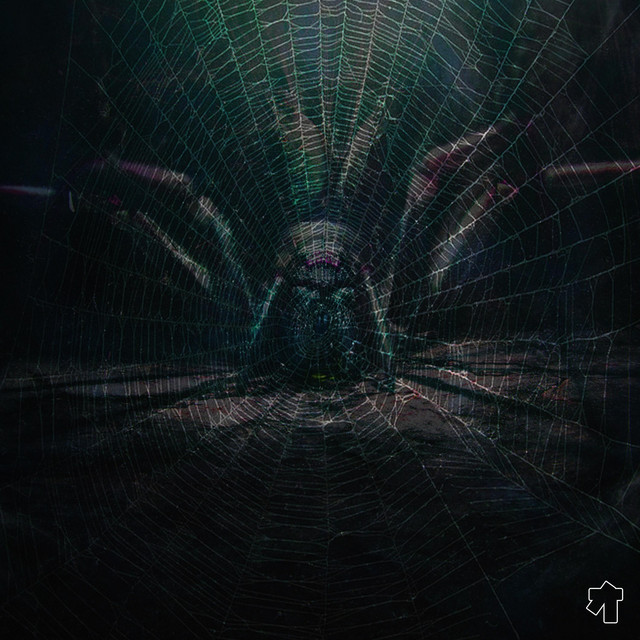 SPIDER