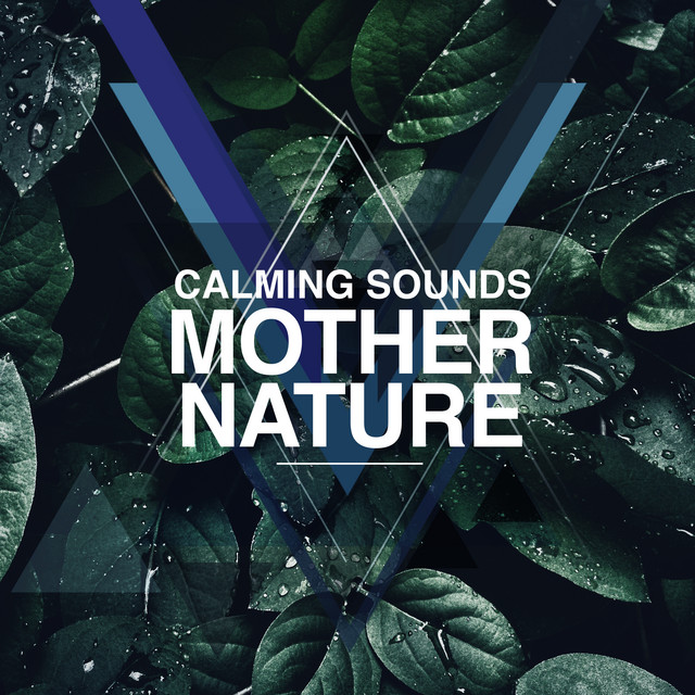 Calming Sounds: Mother Nature cover art