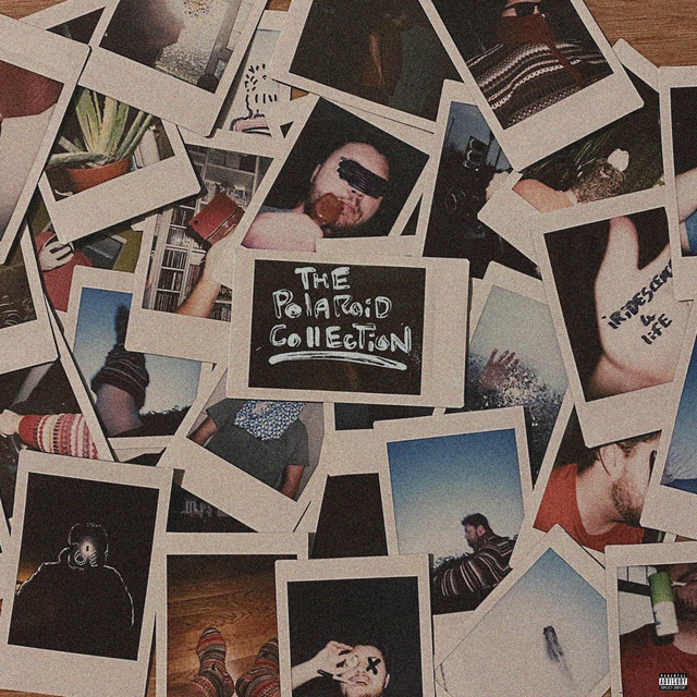 The Polaroid Collection cover art
