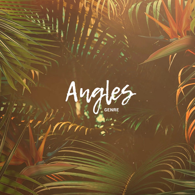 Angles cover art
