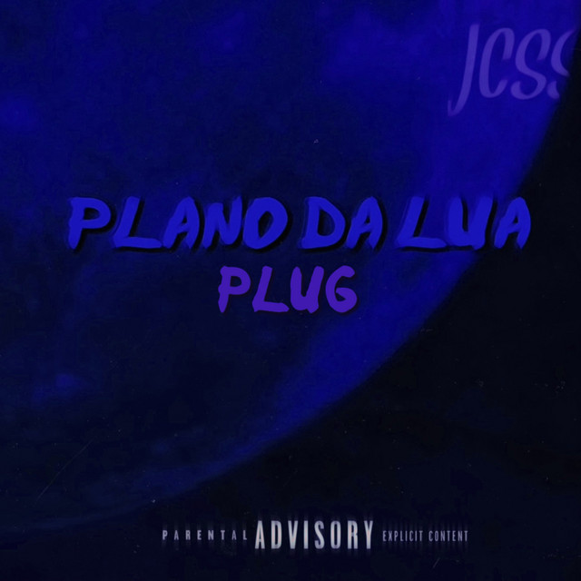 Plug