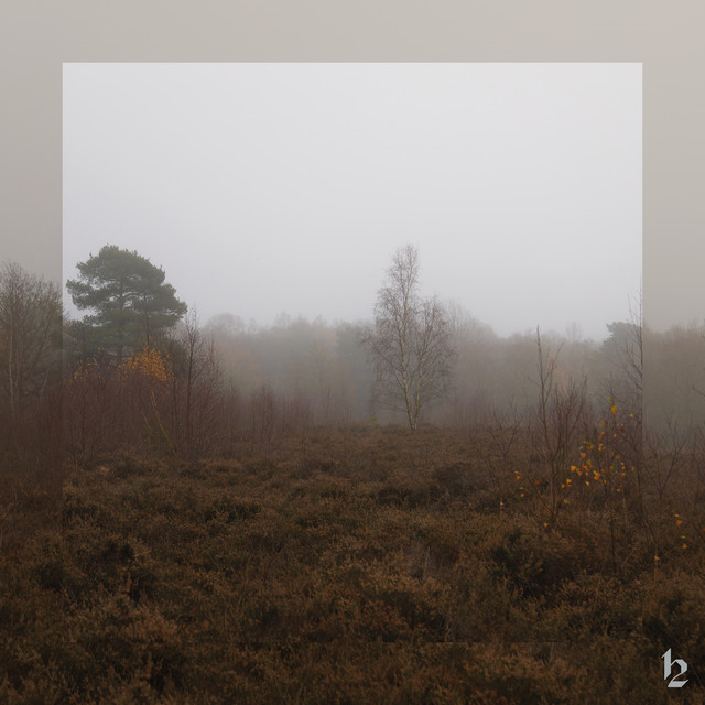 Cloud Forest cover art