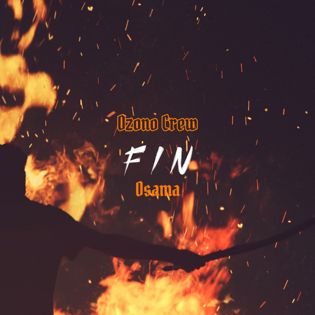 Fin cover art
