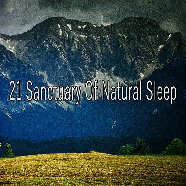 21 Sanctuary Of Natural Sleep - Album by Nature Sounds Nature Music ...
