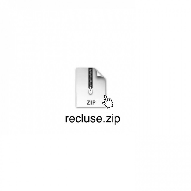 Recluse cover art