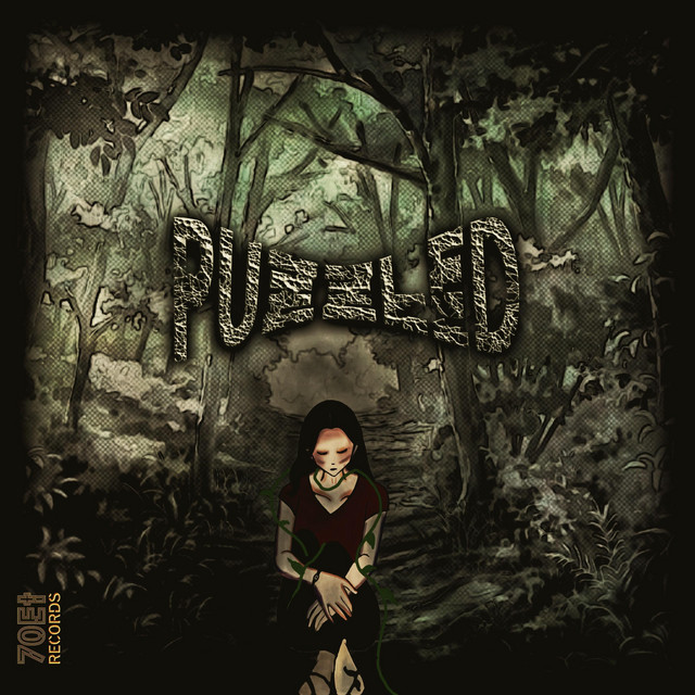Puzzled cover art