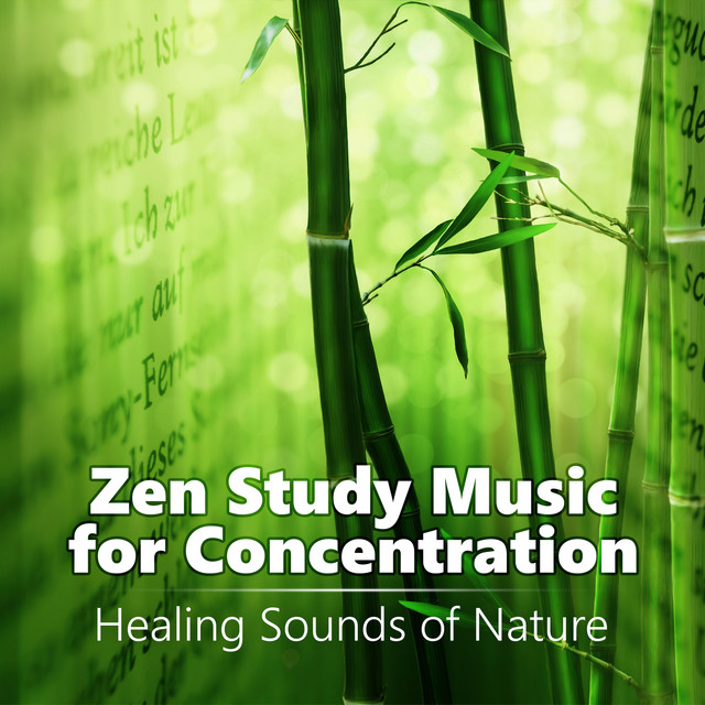 Zen Study Music for Concentration - Healing Sounds of Nature, Meditation, Relaxation, Reiki, Yoga, Soothe Your Soul cover art