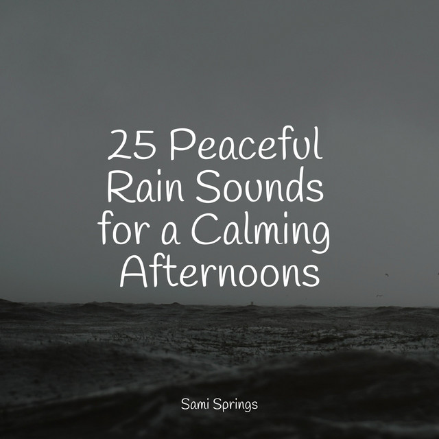 25 Peaceful Rain Sounds for a Calming Afternoons - Album by Academia de ...