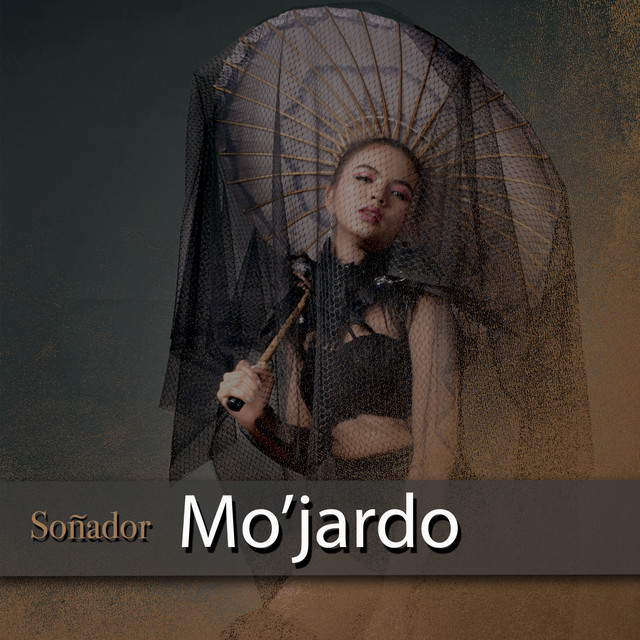 Soñador cover art