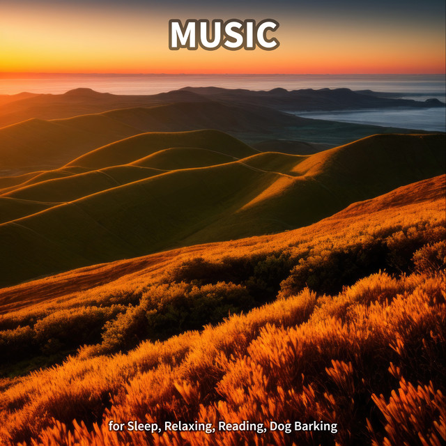 Music for Sleep, Relaxing, Reading, Dog Barking cover art