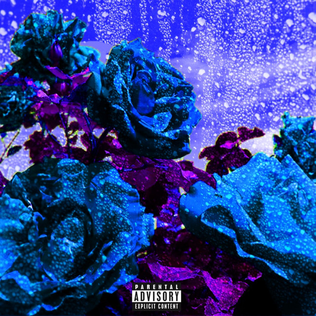 00BFFF (Deep Sky Blue) cover art