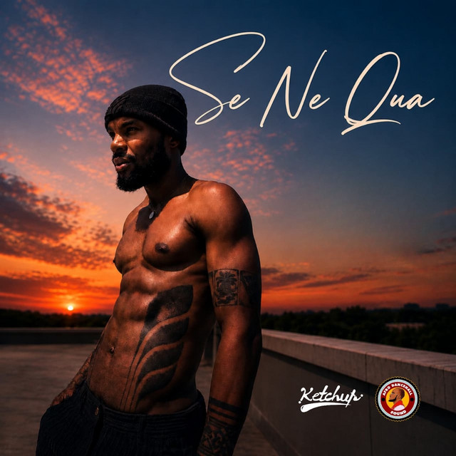 Se Ne Qua cover art