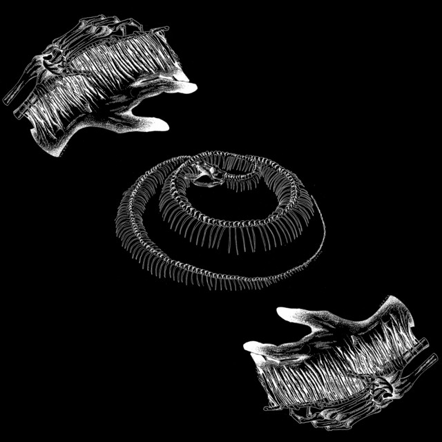 Nasal Confrontation May 22 album art