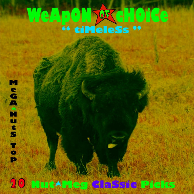 Timeless cover art