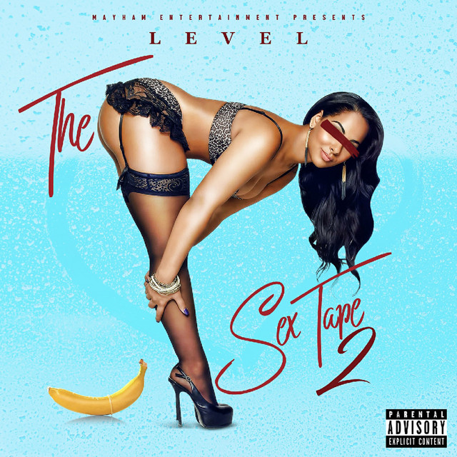 The Sex Tape 2 cover art