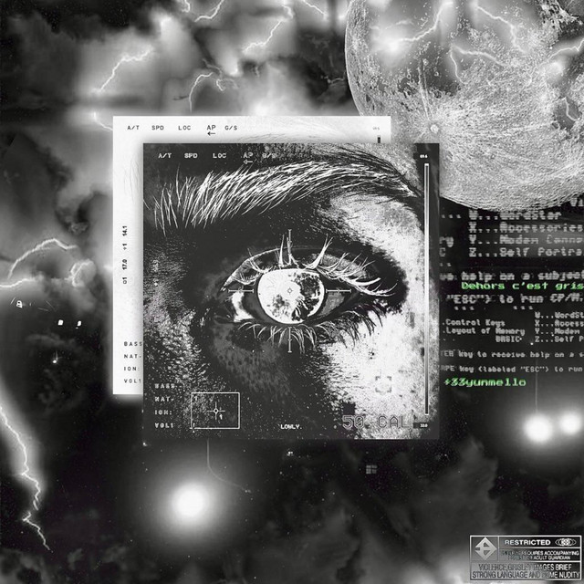 Dehors c'est gris cover art