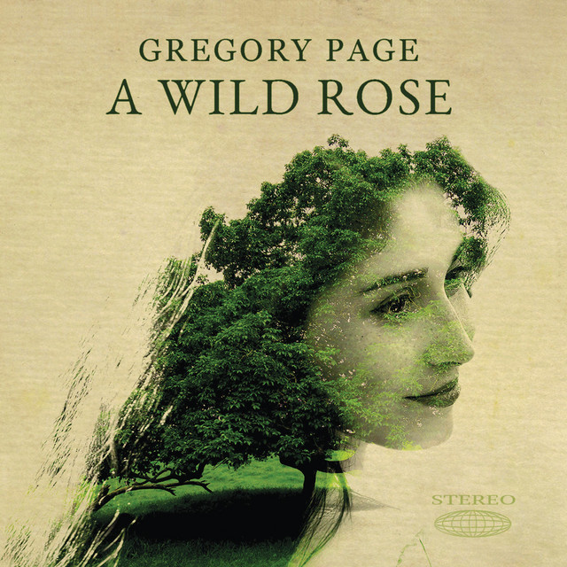 A Wild Rose cover