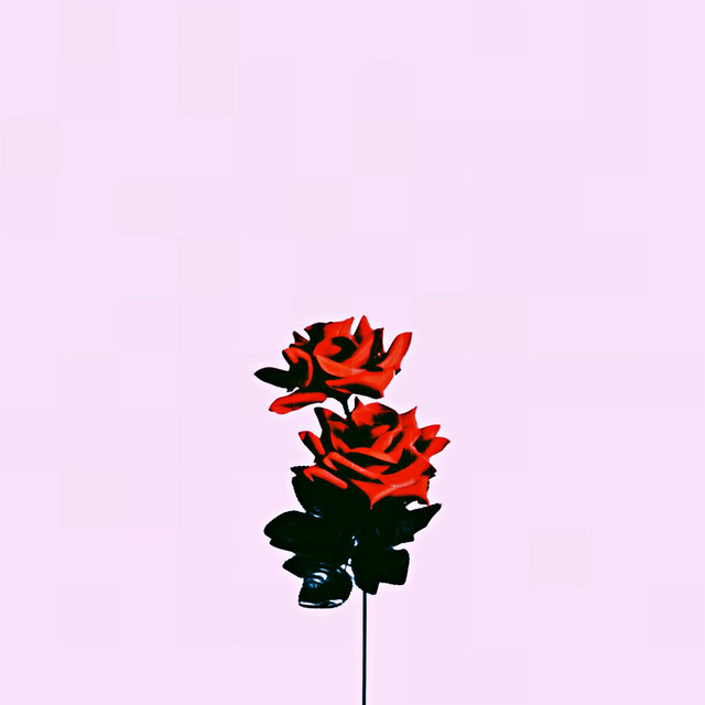 All Love cover
