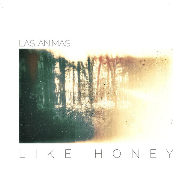 Like Honey cover