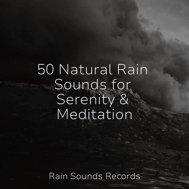 50 Natural Rain Sounds for Serenity & Meditation - Album by Spa | Spotify