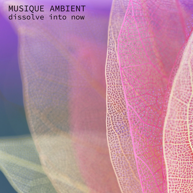 Musique ambient