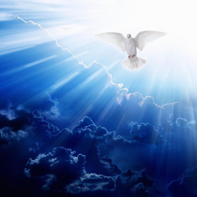 Fly Away
