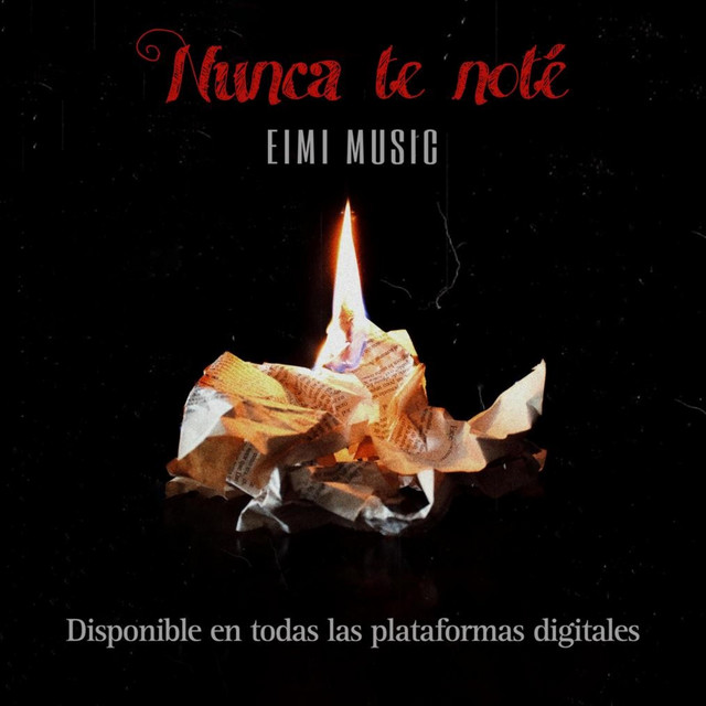 Nunca te noté cover art