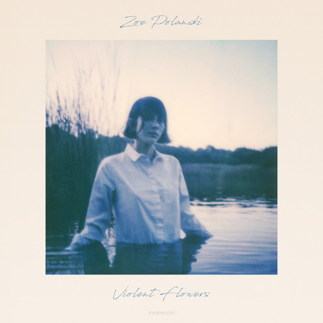 Violent Flowers cover art