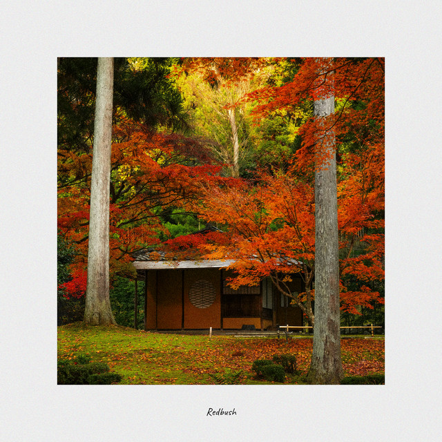 Redbush cover art
