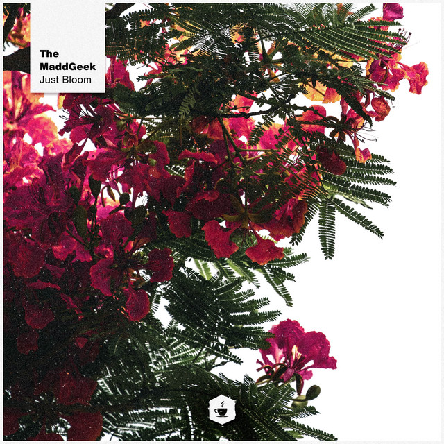 Just Bloom cover
