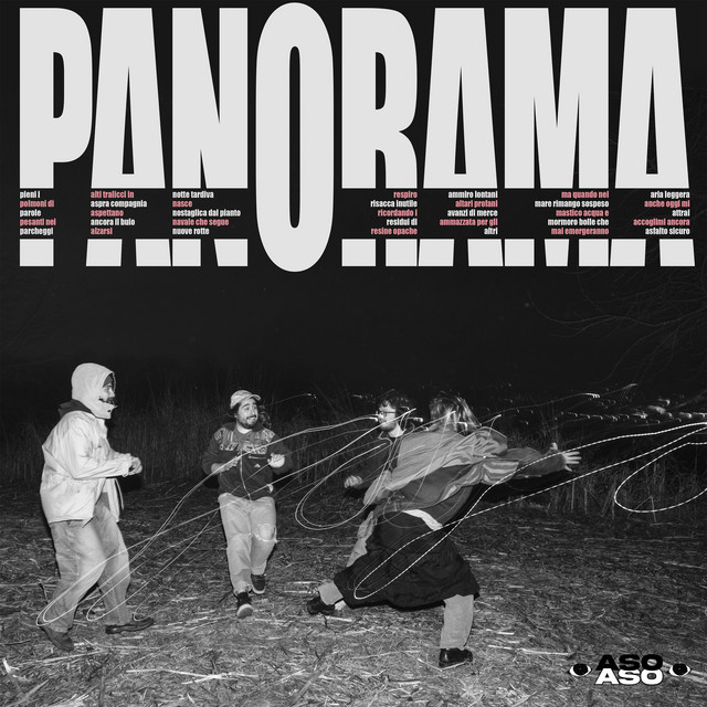 Panorama cover art