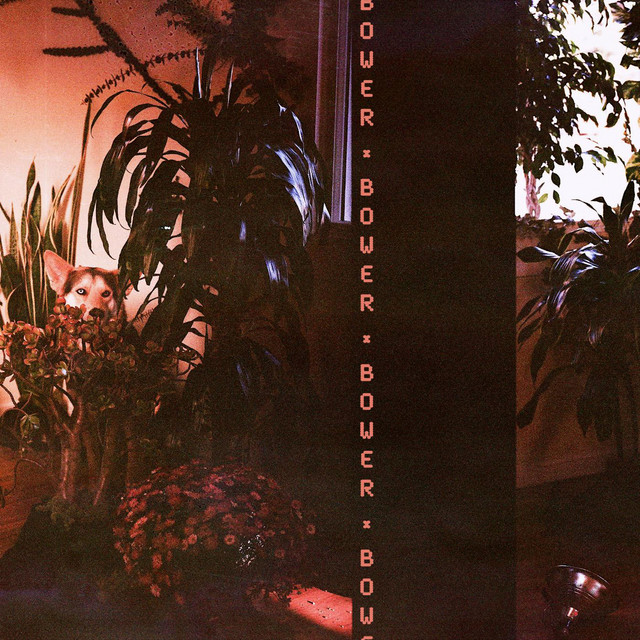 Bower cover art