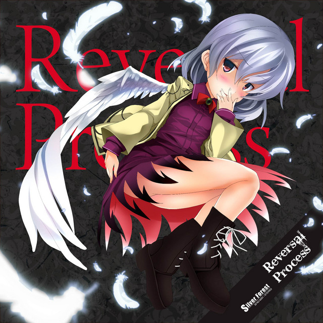 Reversal Process cover art