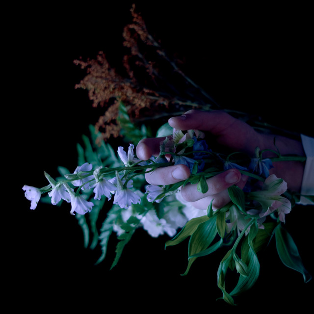 GARDEN cover art