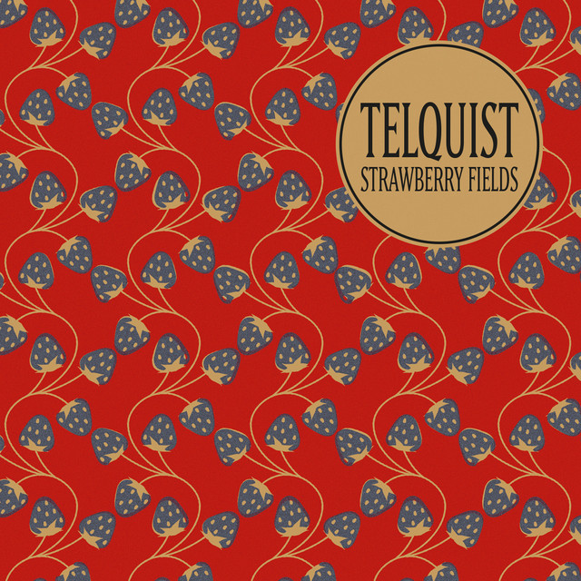 Strawberry Fields cover