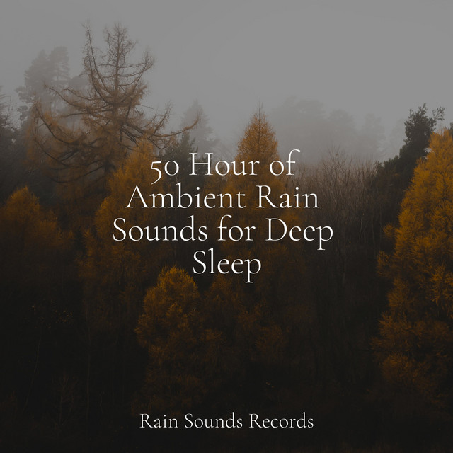 50 Hour of Ambient Rain Sounds for Deep Sleep - Album by Easy Sleep ...