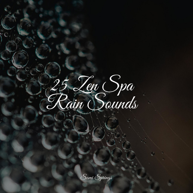 25 Loopable Rain Sounds for Serenity - Album by Academia de Meditação ...