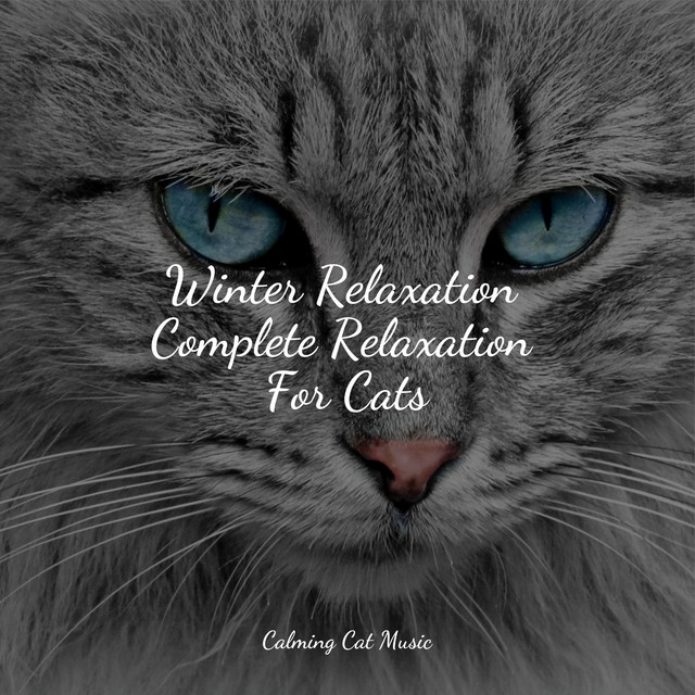Winter Relaxation Complete Relaxation For Cats - Album by Jazz Music ...