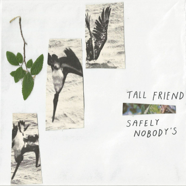 Safely Nobody's cover