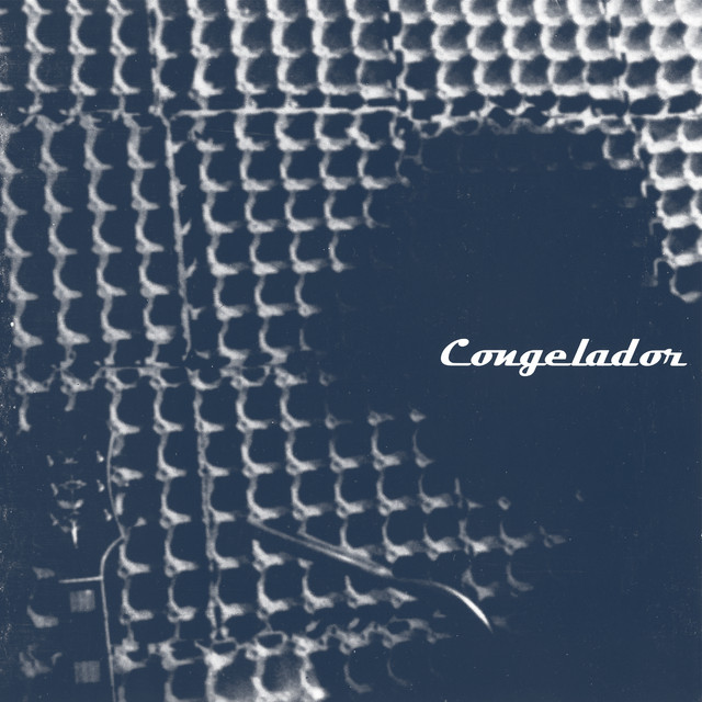 Congelador cover