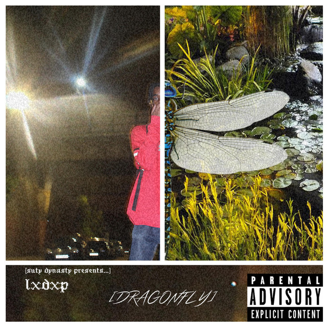 Dragonfly... cover art