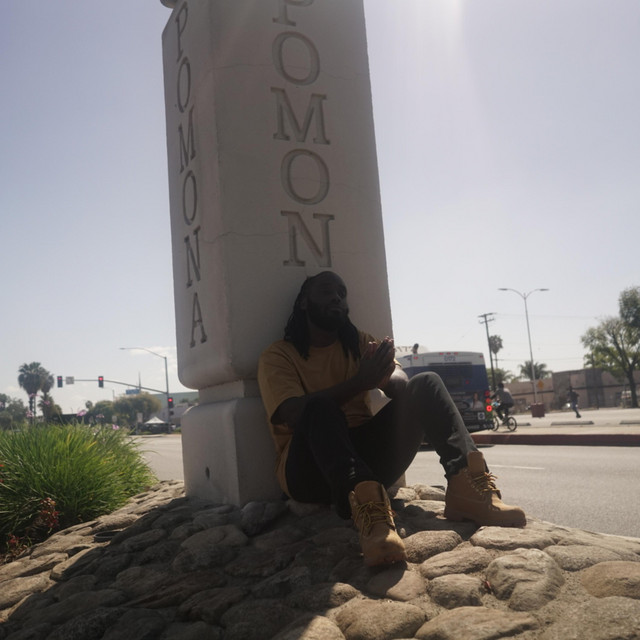 Case of Pomona