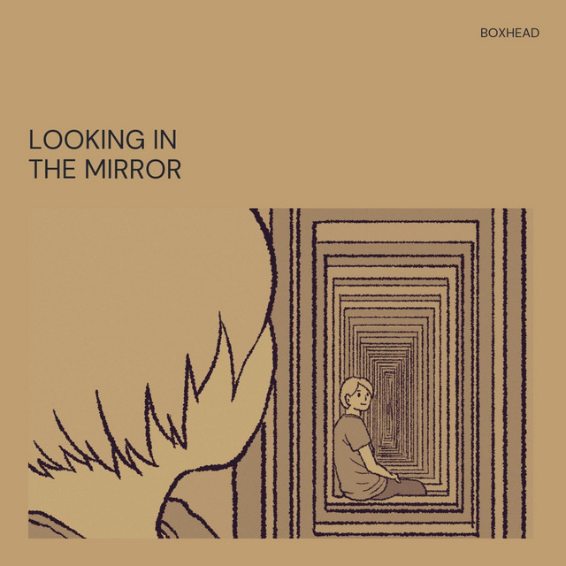 looking in the mirror cover art
